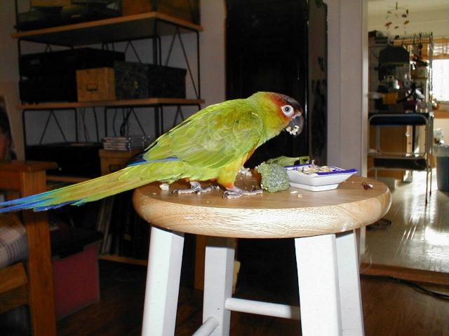 Dakota eating breakfast
